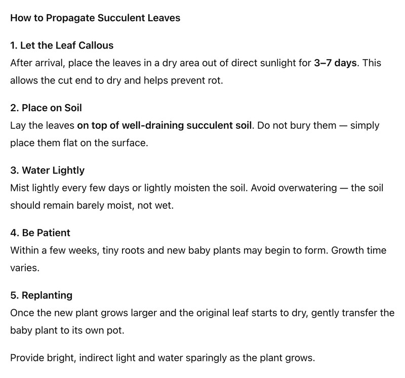 20 Succulent Leaves Starter Kit Assorted Varieties Easy Propagation for Beginner gallery