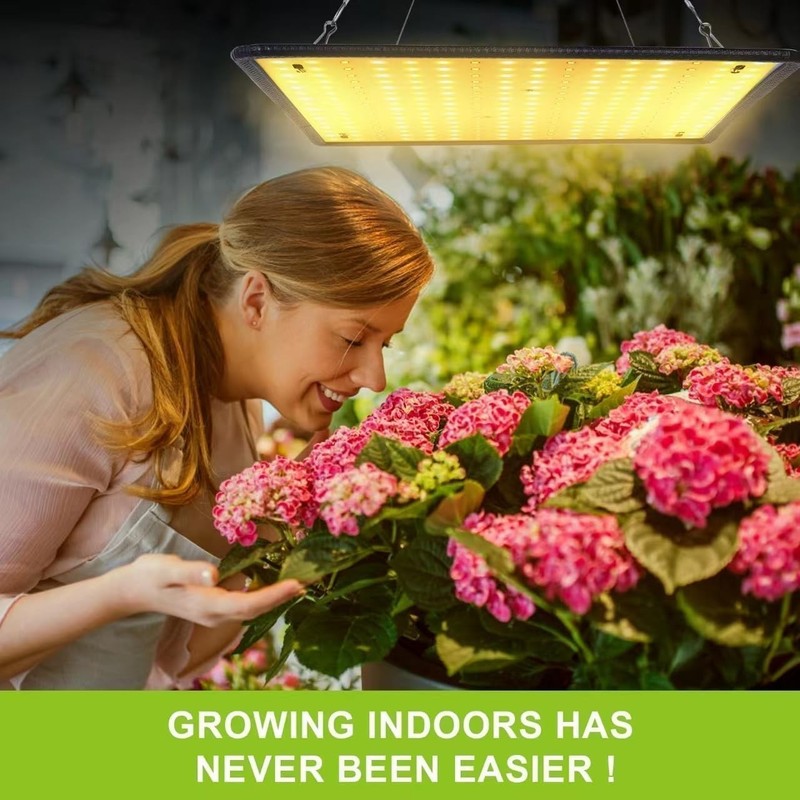1000W Grow Light Full Spectrum LED Growing Lamp for Indoor Veg Bloom gallery