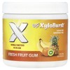 Xylitol Gum, Fresh Fruit, 100 Pieces, 5.29 oz (150 g) gallery