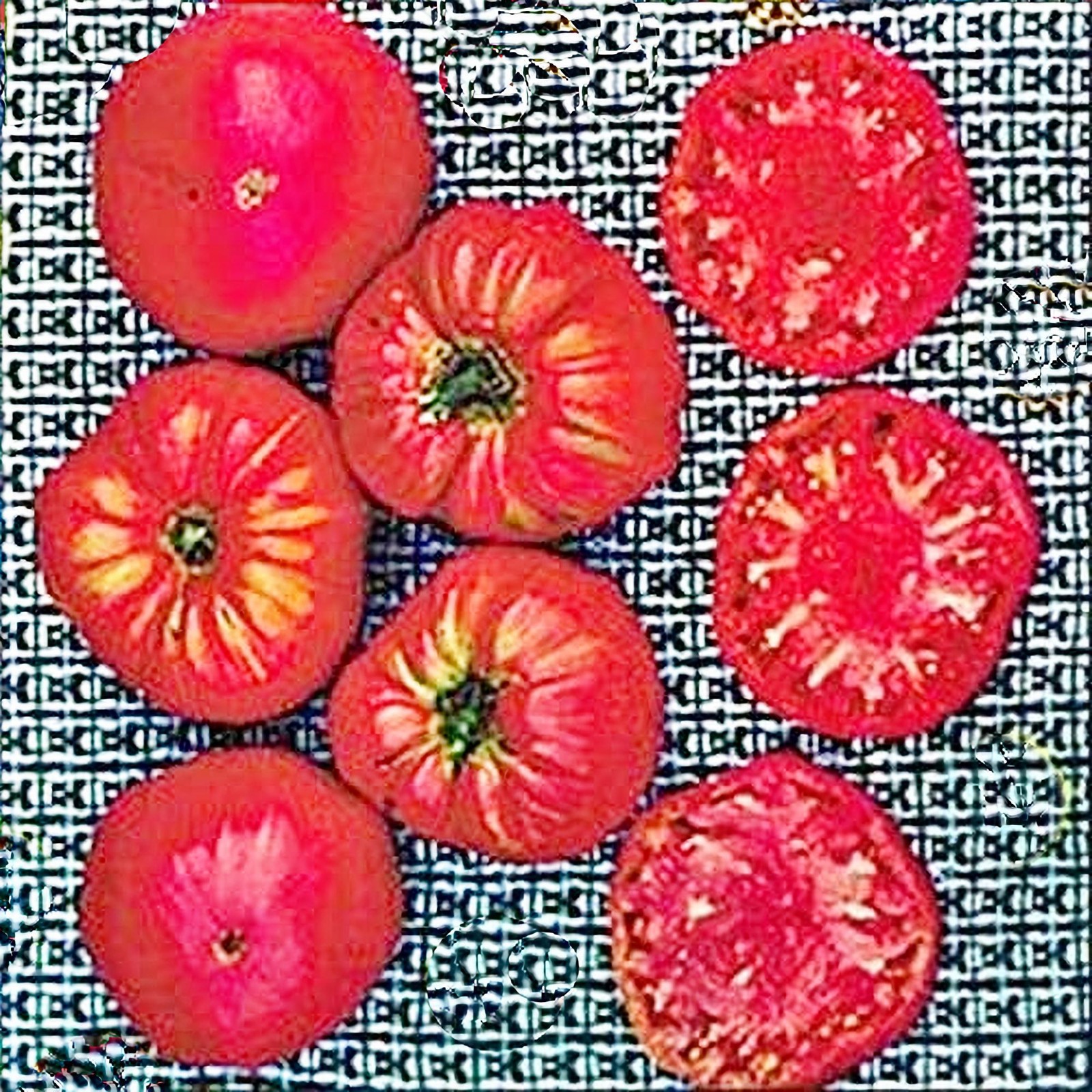 Soldacki, Tomato gallery