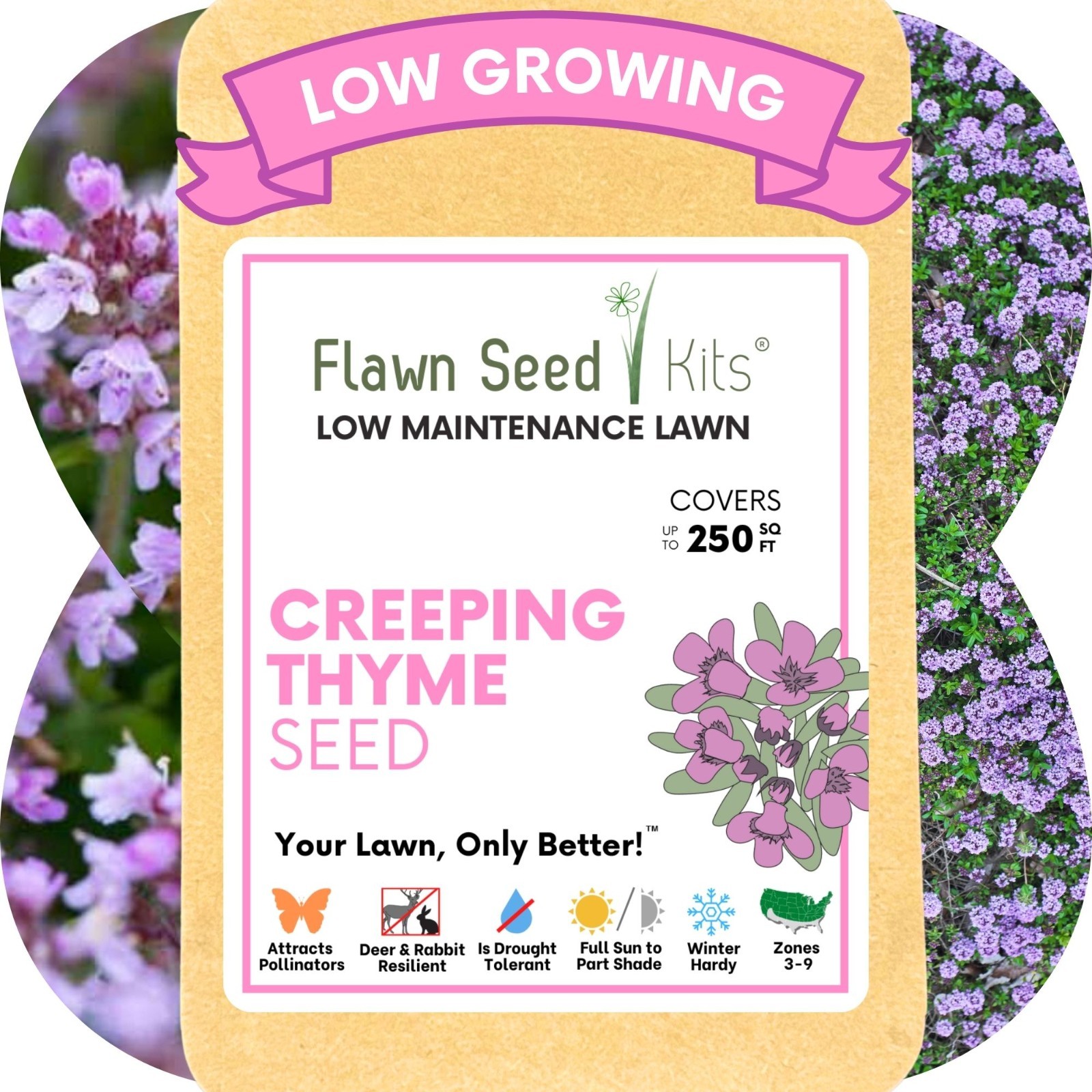 Flawn Seed Creeping Thyme, Pollinator Friendly, Low Maintenance, Ground Cover gallery