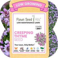 Flawn Seed Creeping Thyme, Pollinator Friendly, Low Maintenance, Ground Cover