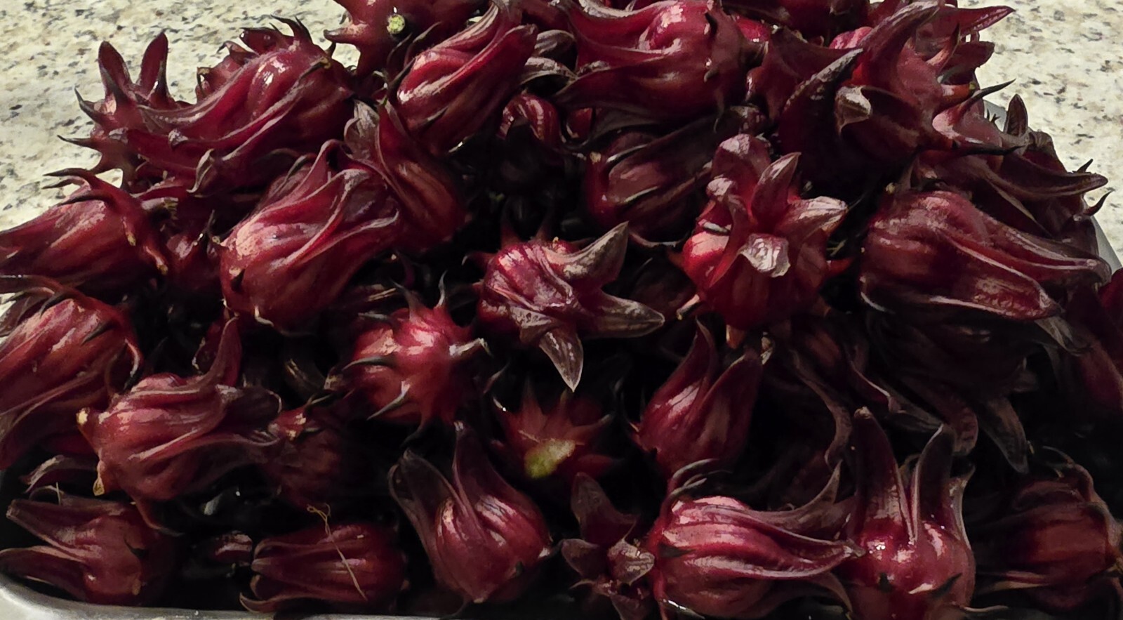 25 Red Hibiscus Roselle Seeds | Sabdariffa Sour Leaf Sorrel Chin Baung Jamaican gallery