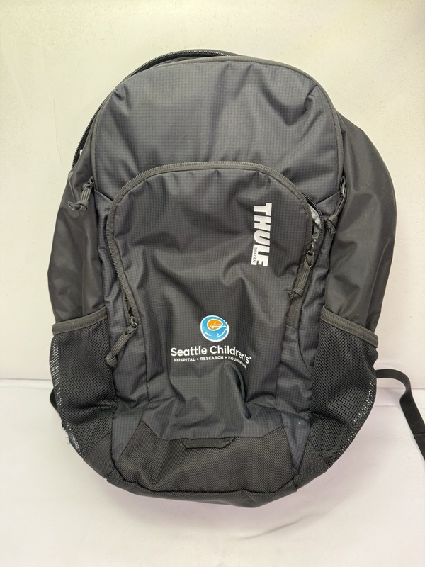 Thule Lap Top 18" Computer Backpack Durable travel or every day Bag *read