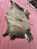 Buffalo Pelt Rug 80” X 76” gallery