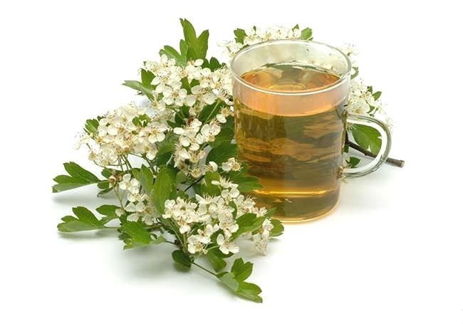 Hawthorn Tea - Loose Leaf & Flower from 100% Nature, Wild Crafted from Europe gallery