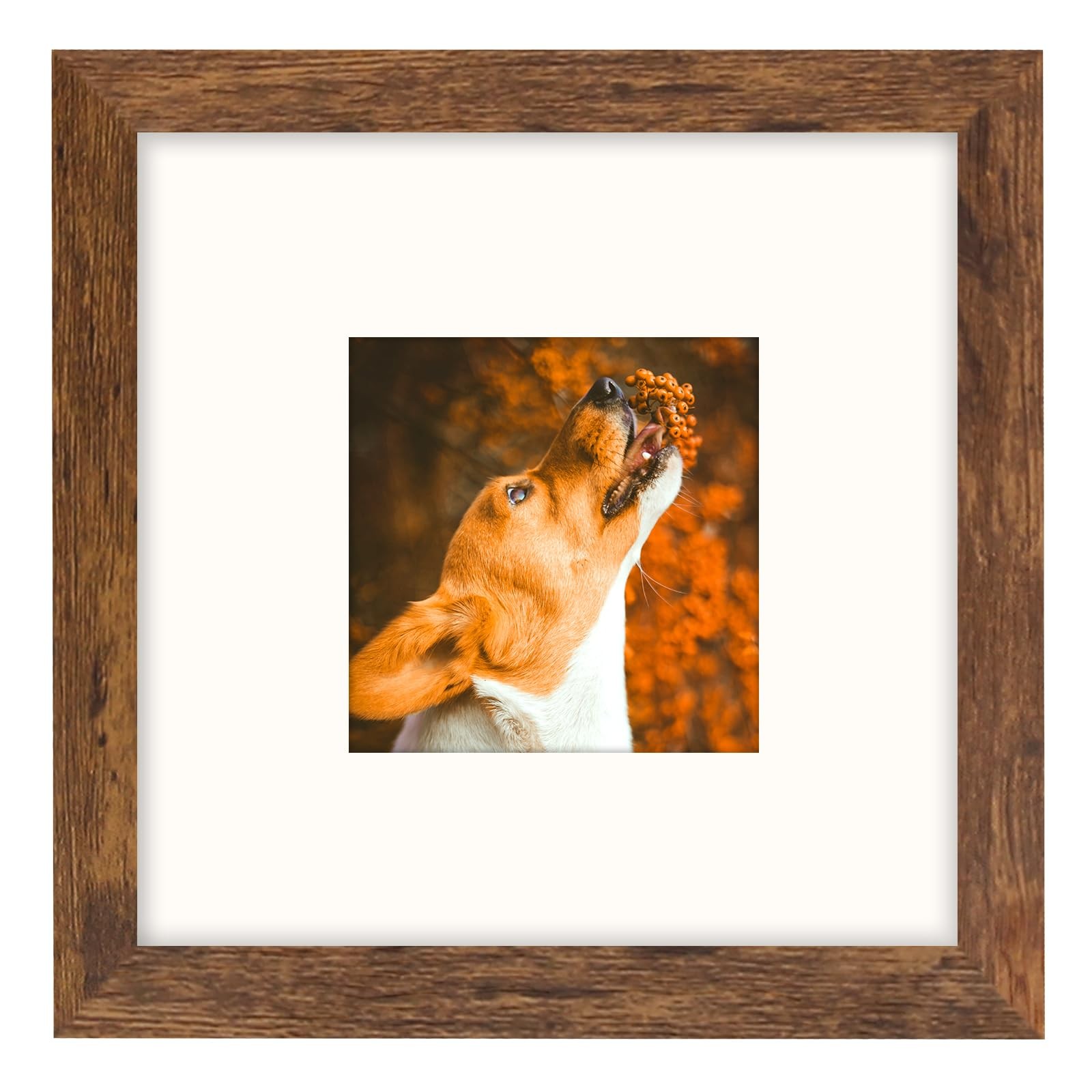 Brown 8x8 Frame with Mat for 4x4 Display, Desk Wall Square Photo Frame for Horiz gallery