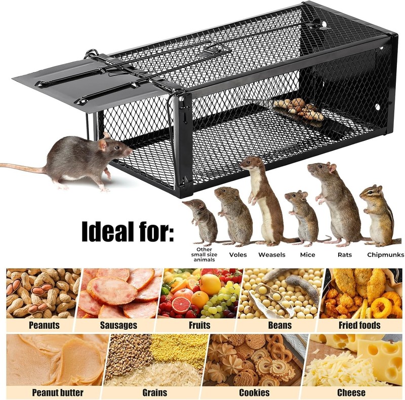 Pet-Safe 2-Pack Live Capture Mouse Traps 12.5"x5.5"x4.5" for Indoor/Outdoor Use gallery