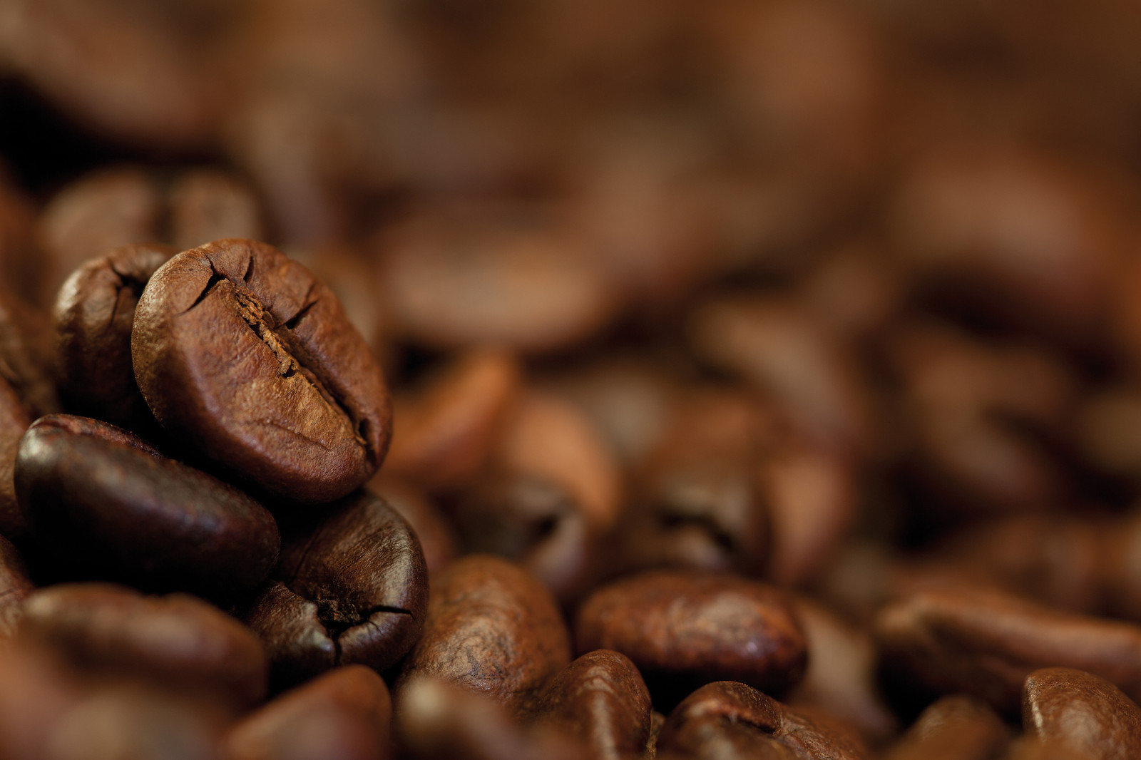 2025 COFFEE - Mountain Select - Fresh Roasted Coffee - 2 Bags- Whole Bean gallery