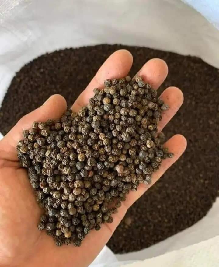 CEYLON BLACK PEPPER POWDER Premium FREE SHIPPING NATURAL PURE BLACK NEW gallery