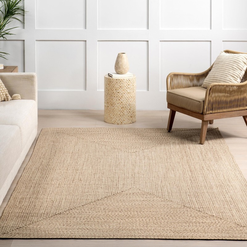 2' x 3' Solid Hand Braided Indoor/Outdoor Area Rug, Pet-Friendly, High Traffi... gallery