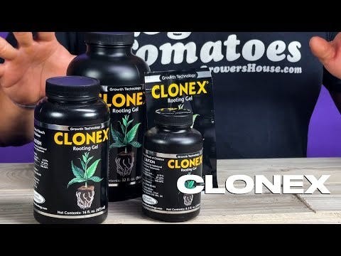 Clonex Mist Concentrate (Gallon) Hydroponic Propagation gallery