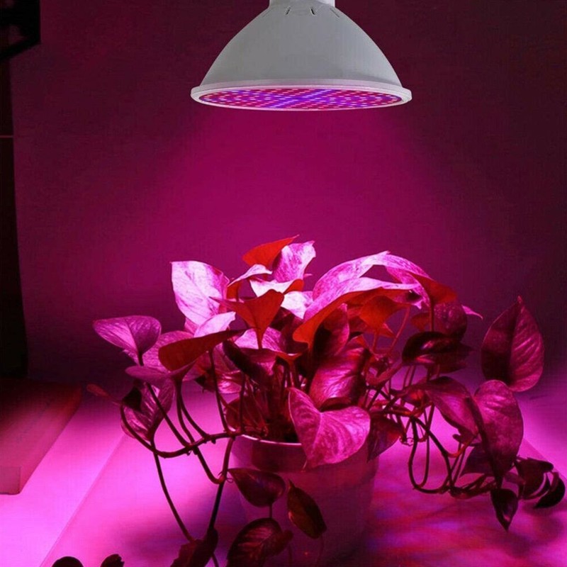 Highly Efficient Grow Light for Tomatoes Chili Eggplant Herbs and More gallery