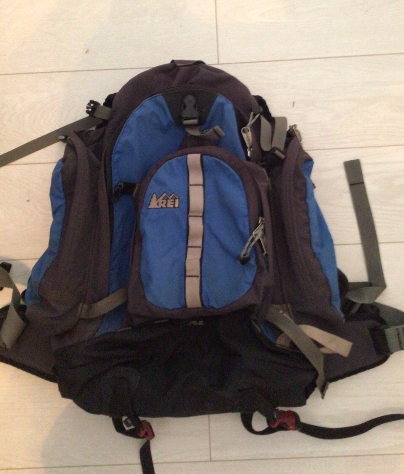 REI day pack, blue, Alpine