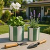 Ceramic Planter Pots – Planters for 6"L x 6"W x 6"H and 8"L x 8"W x 7"H Green gallery