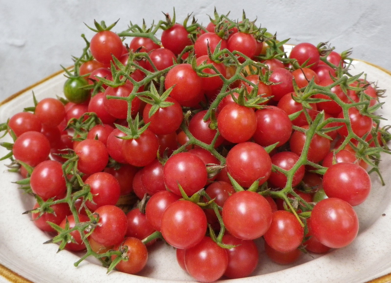 Florida Everglades Tomato - Seeds - Florida Native - heat tolerant - Heirloom gallery