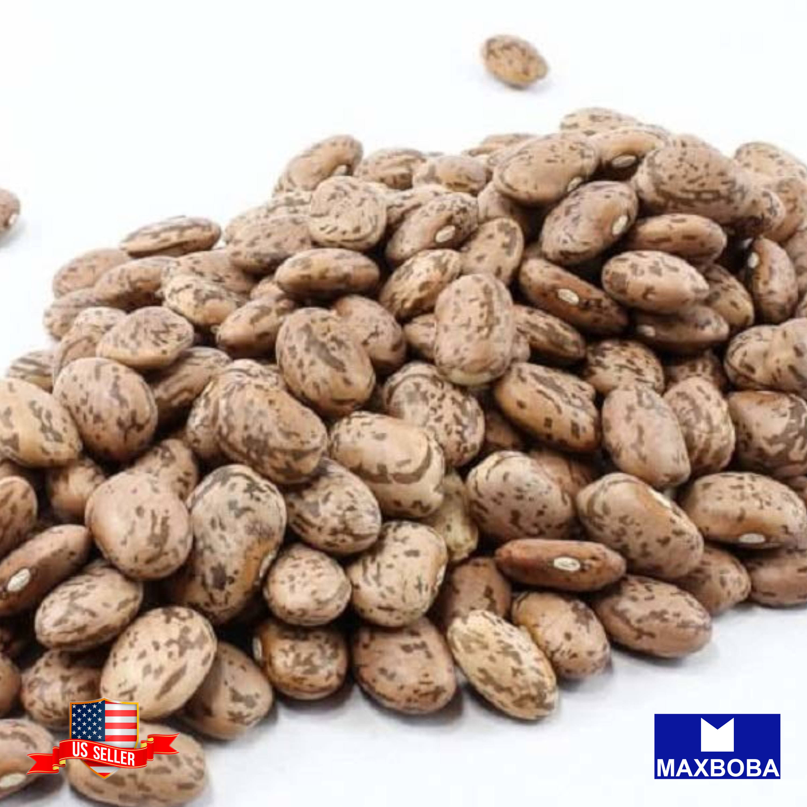 Bean Seeds Shell Pinto Non-GMO Heirloom Vegetable gallery