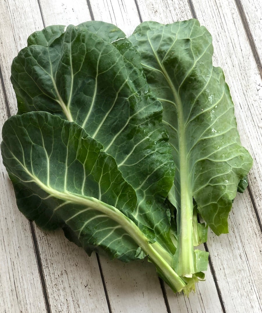 100 Morris Heading Collard Seeds Non-GMO Heirloom | Fresh Seeds free shipping gallery