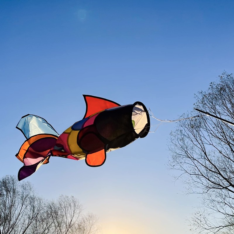 Rainbow Fish Windsock Spinner 32Inch Colorful Outdoor Decor gallery