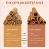 Premium Ceylon Cinnamon Powder, 16 Oz (1 lb) gallery