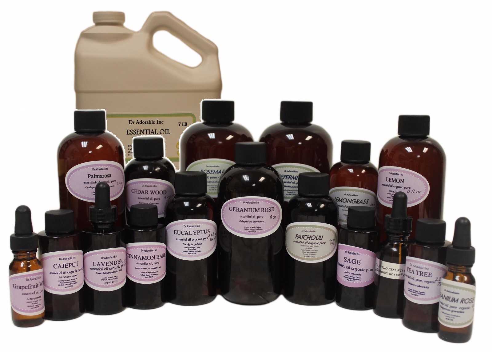 Spruce Essential Oil Therapeutic Grade Organic Pure Sizes from 0.6 oz to Gallon gallery