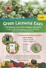 Green Lacewing Eggs on Hanging Card - 5,000 Count - Aphid Exterminator gallery