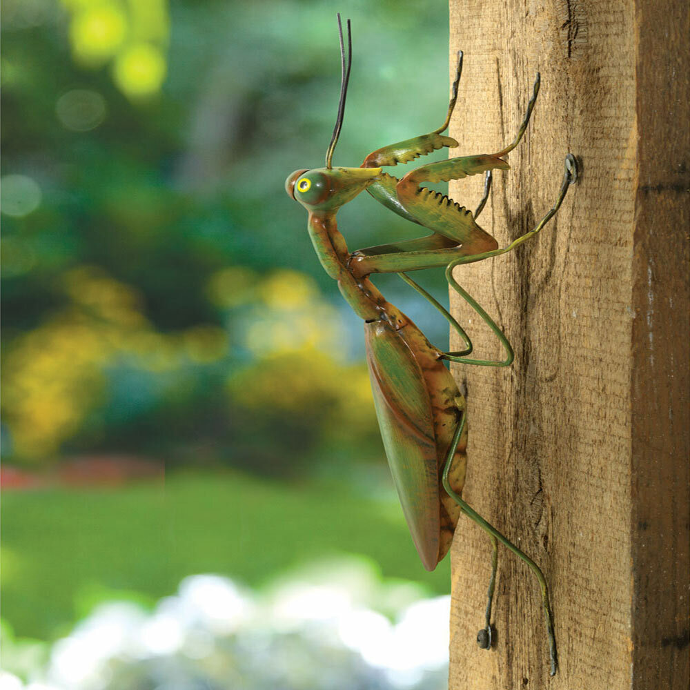 Praying Mantis Standing Guard For Your Garden Metal Sculpture