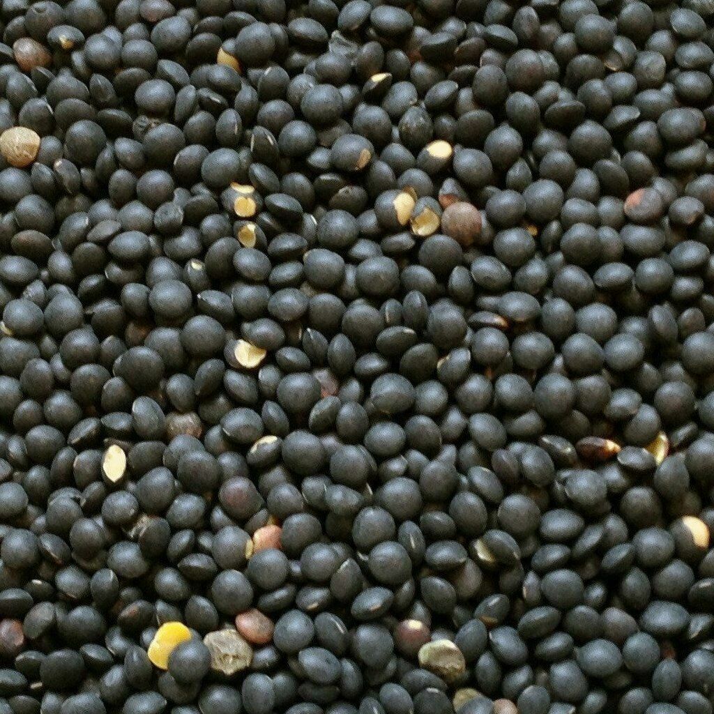 BLACK LENTILS BEANS gallery