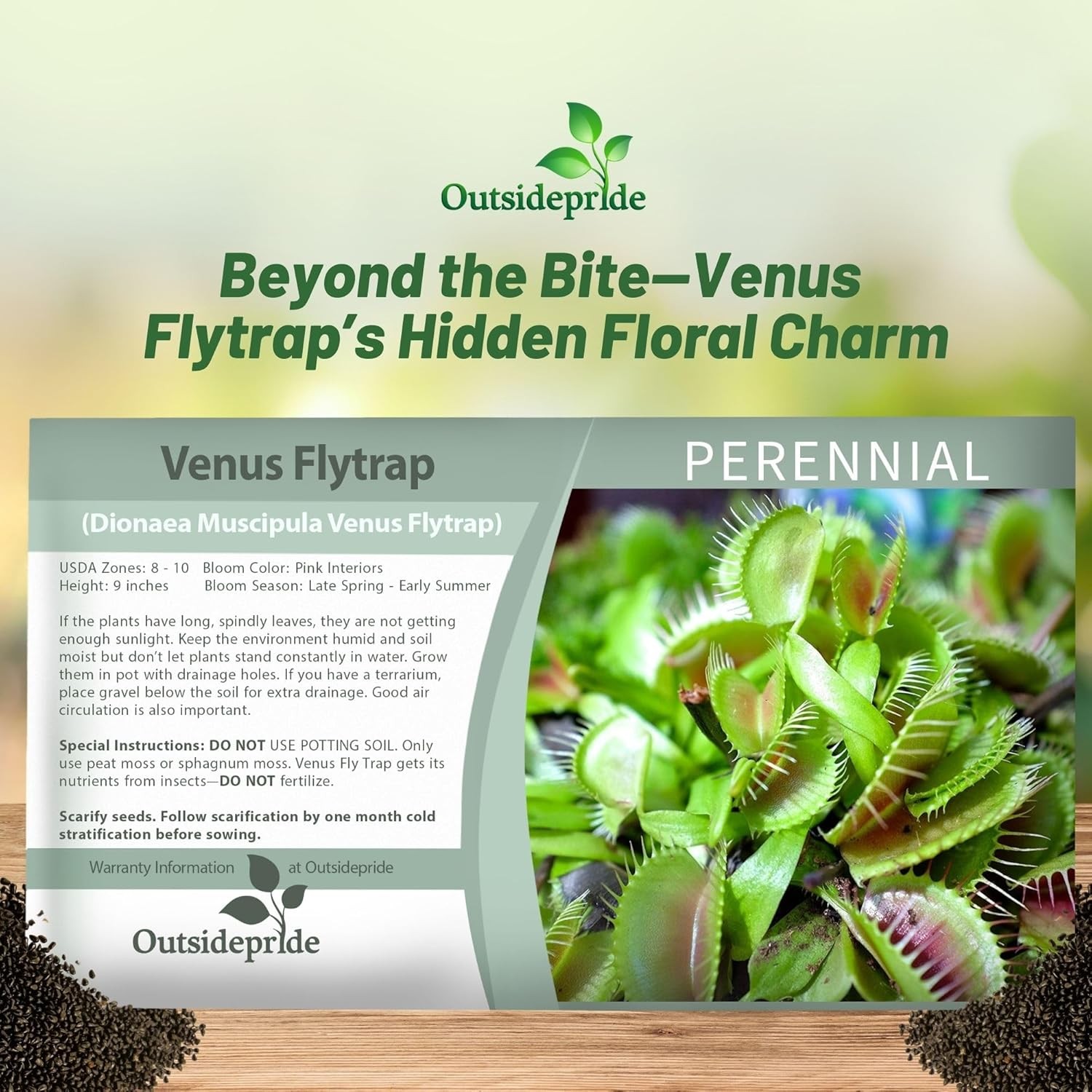 10 Seeds Venus Flytrap Seeds For Planting - Dionaea Muscipula gallery