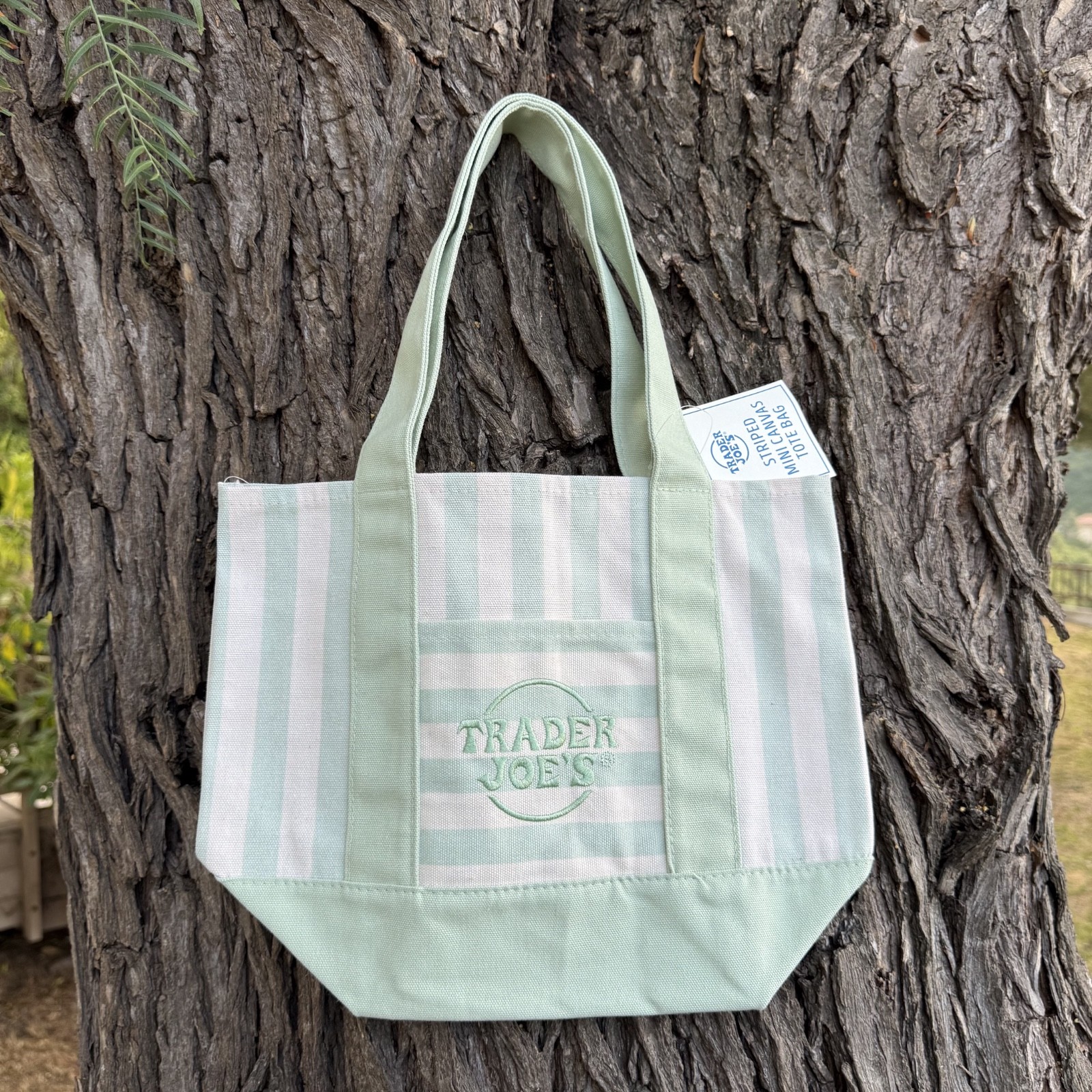 Trader Joe’s Striped Mini Canvas Tote Bag Pastel Green Summer 2026 Limited gallery