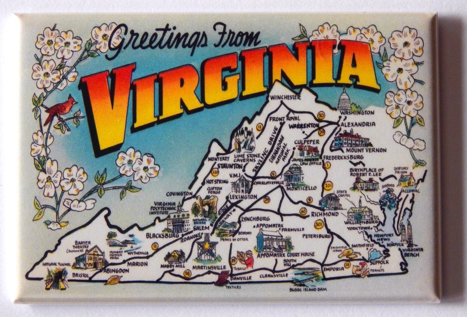 Greetings from Virginia Map FRIDGE MAGNET travel souvenir (dogwood and cardinal) gallery