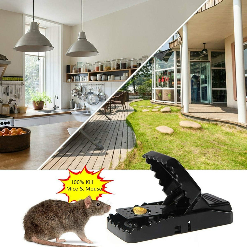 6 Pack Mouse Traps Rat Mice Killer Snap Trap Power Rodent Heavy Duty Pest Trap gallery