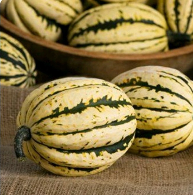 40 Plus Sweet Dumpling Winter Squash Seeds-Non GMO seeds-Open Pollinated gallery