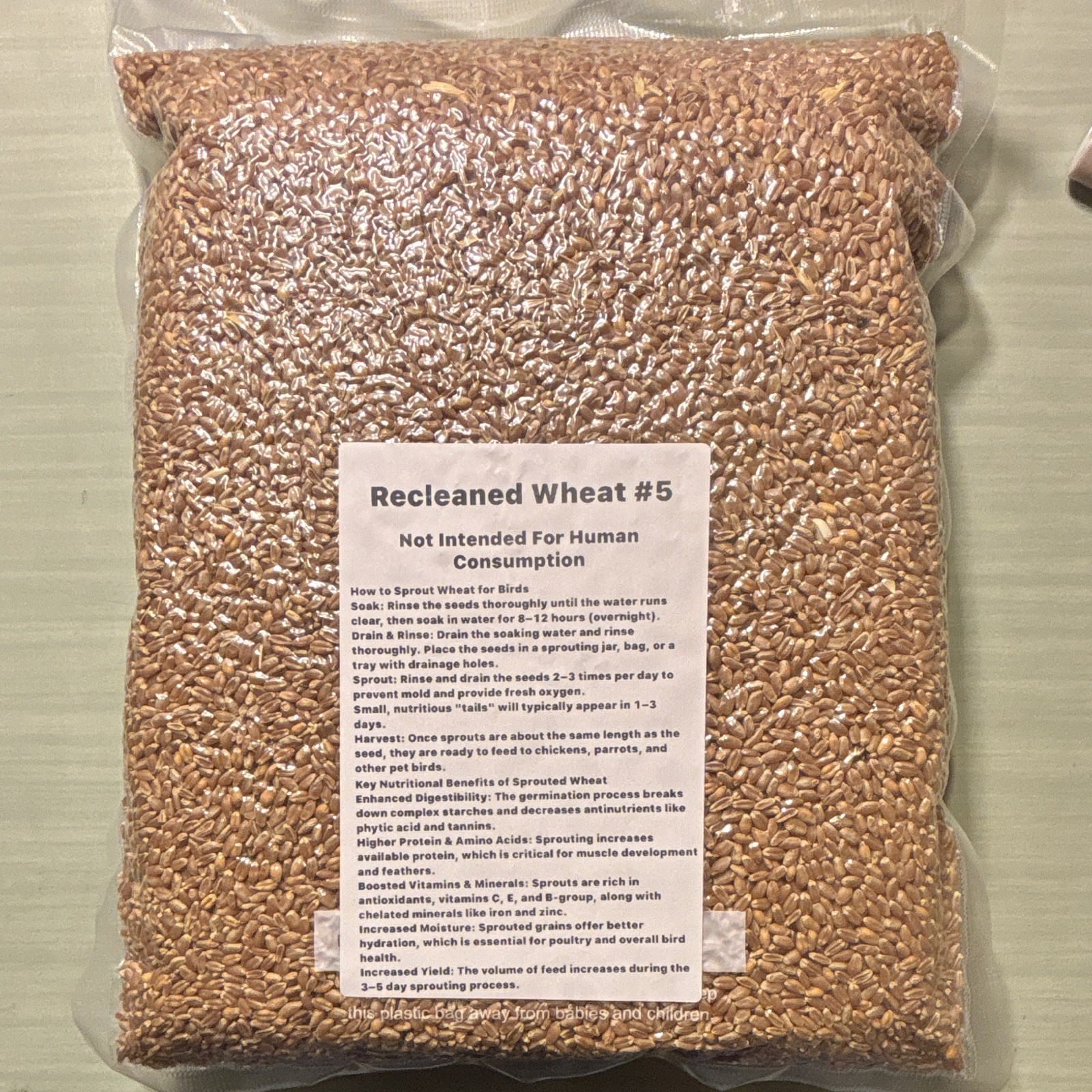 Recleaned Wheat Seeds 10LB For Sprouting & Bird Feed Great For Chicken gallery