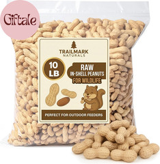 10 LB – Raw Peanuts for Squirrels, Raw in Shell Peanuts for Birds and Wildlife-