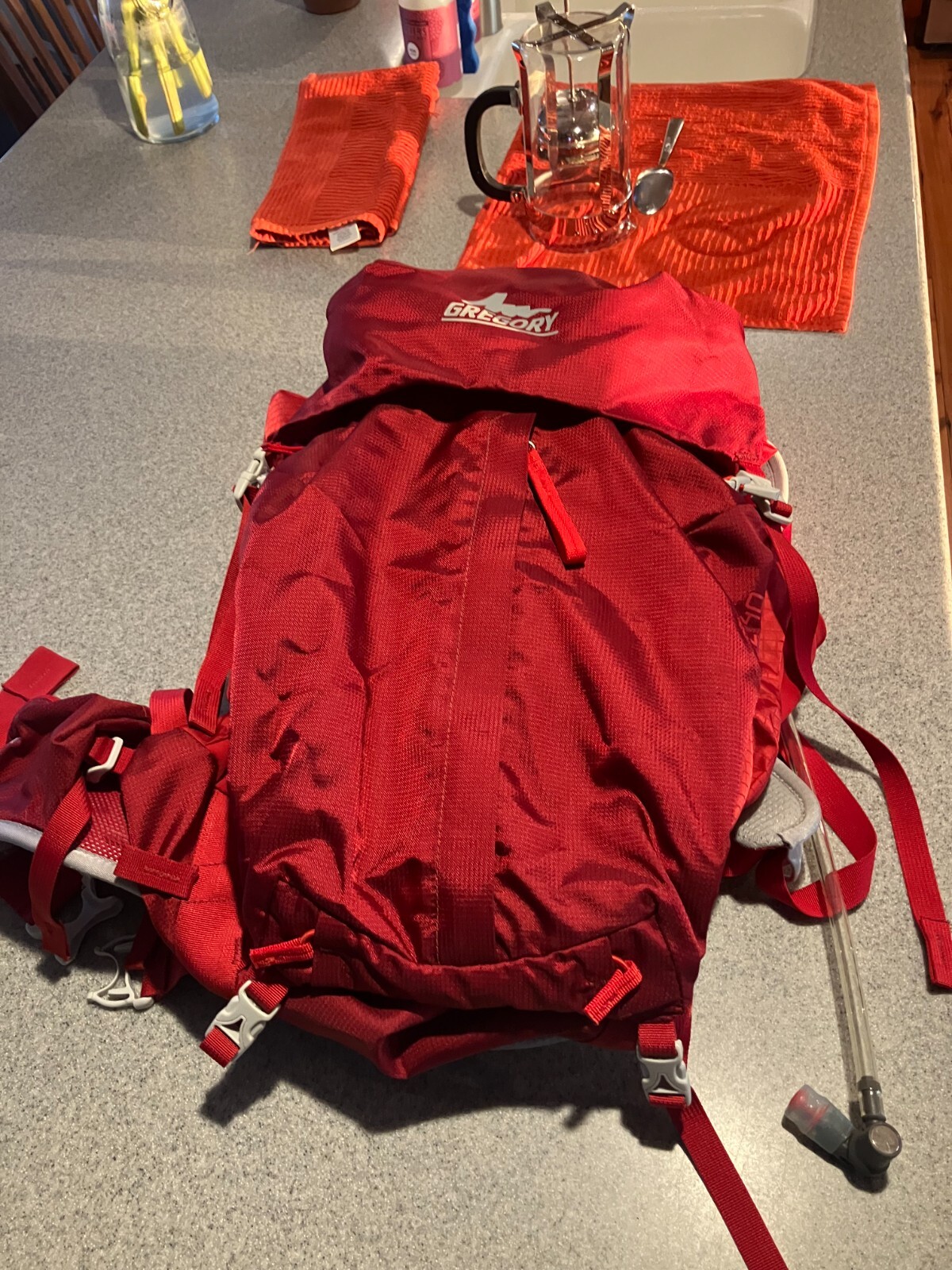 Gregory Z40 Backpack Red 26.76 Liter