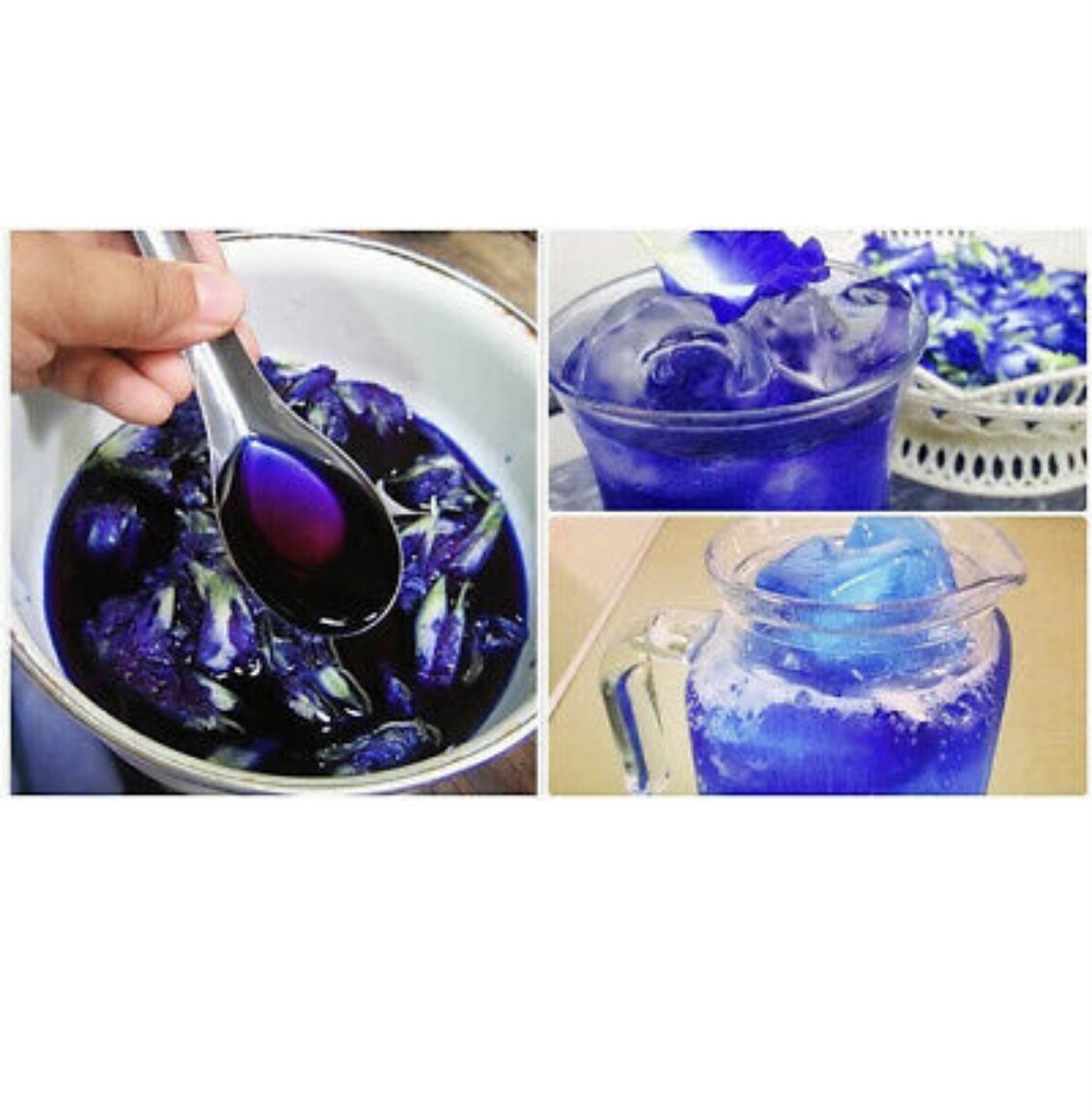 Thai Dried Butterfly Pea Tea PURE Flower Natural Organic Herbal Drink - 50g gallery