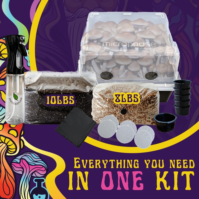 Medium Beginners Mushroom Grow Kit | Indoor Grow Kit w/ Bulk Substrate gallery
