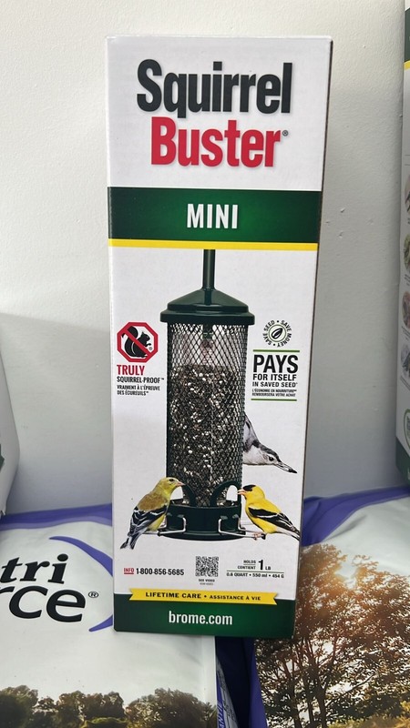 New Brome Squirrel Buster Mini Bird Feeder, Squirrel Proof, Free Delivery gallery