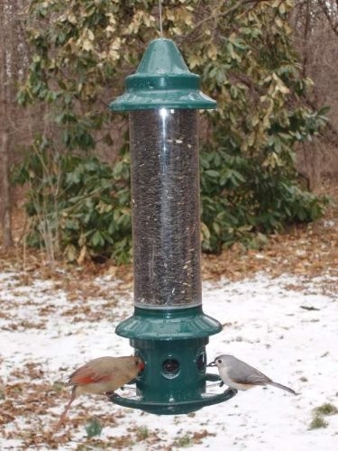 Brome Squirrel Buster Plus Bird Feeder w/ Cardinal Perch Ring 1024 - Squirrel gallery