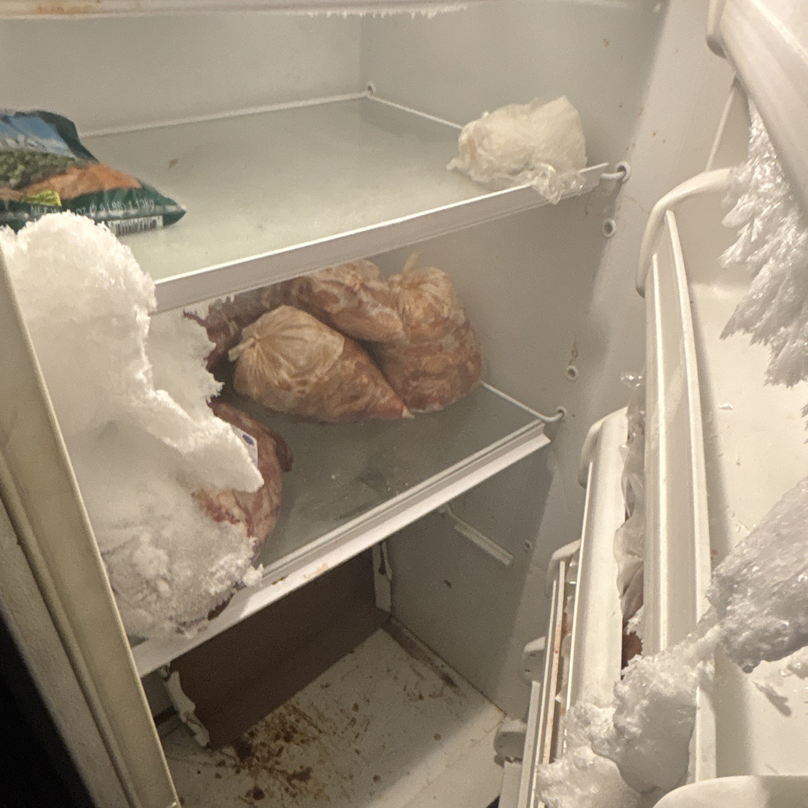 Frigidaire Gallery White Upright Freezer gallery