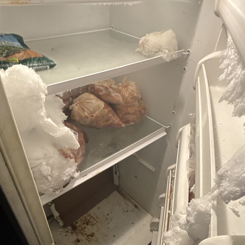 Frigidaire Gallery White Upright Freezer gallery