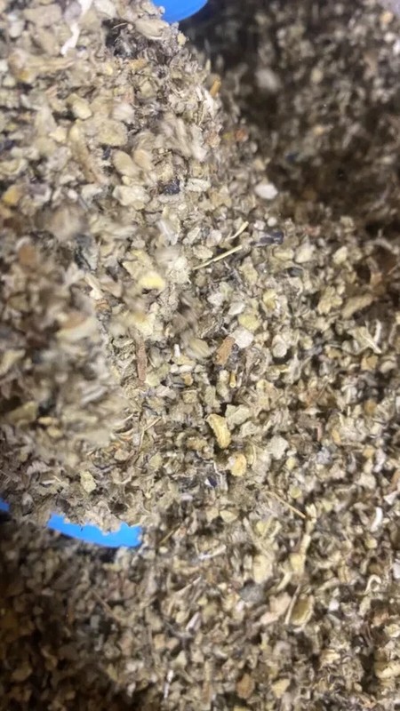 Mullein Leaf Organic Bulk - 3 lbs Pounds - Medicinal Lung Tea Herb verbascus gallery