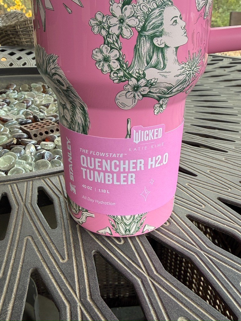 Stanley x Wicked For Good 40oz FlowState Quencher Tumbler Ozian Reprise IN HAND gallery