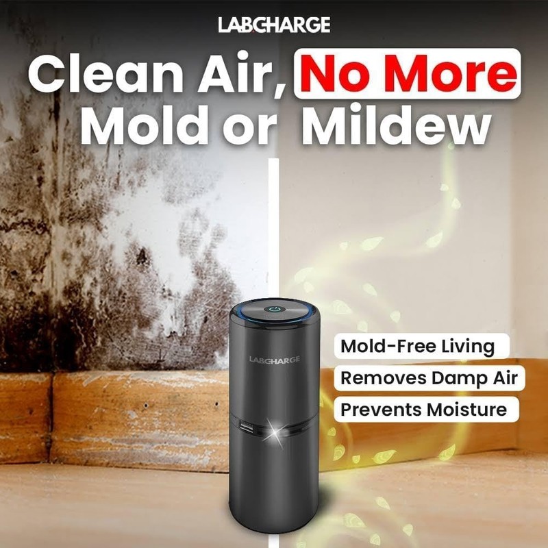 LabCharge Small Ionic Air Purifier for Home & Bedroom – Silent HEPA Filter – gallery