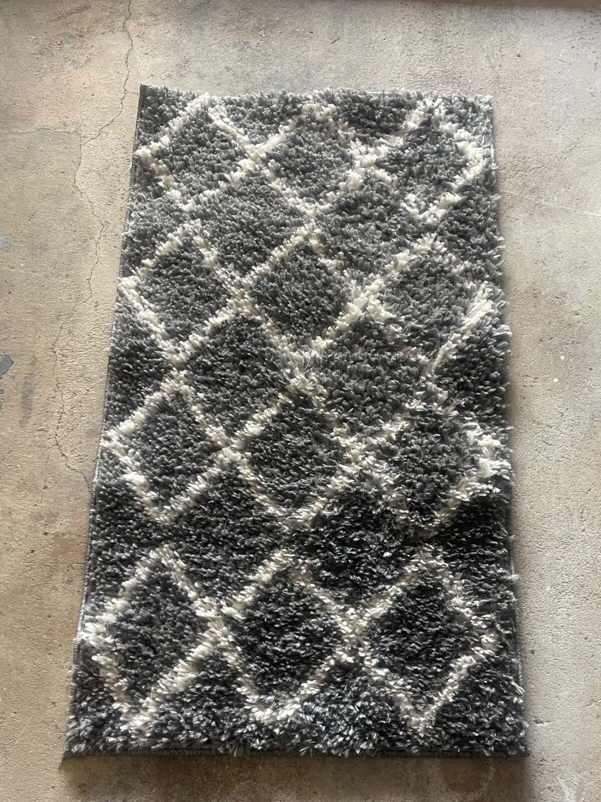 Small Area Rug (45in x 26in ) gallery