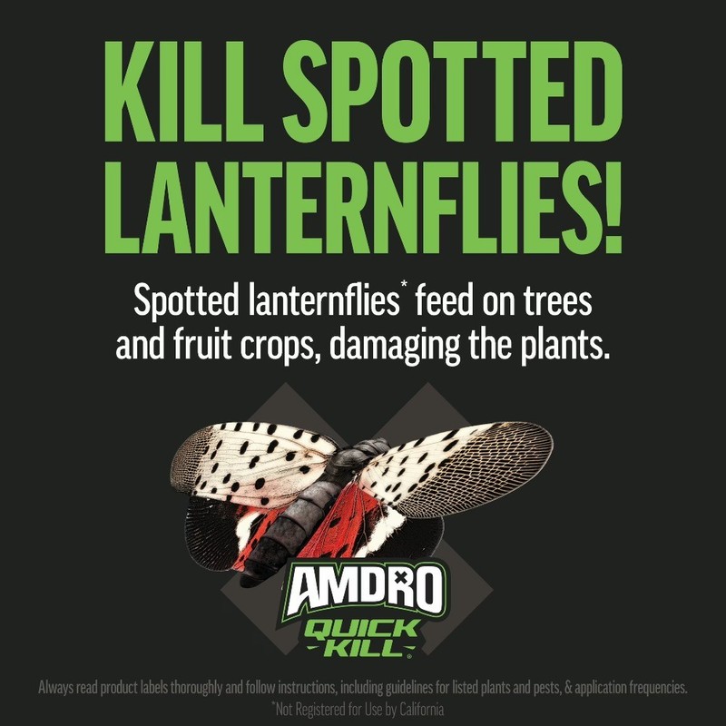 Kill Outdoor Insect Killer Liquid Concentrate, Kills over 500 Insects; 32 oz. gallery