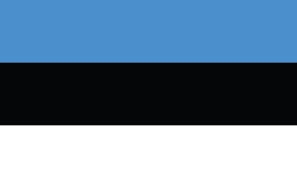 Estonia Flag Poster gallery