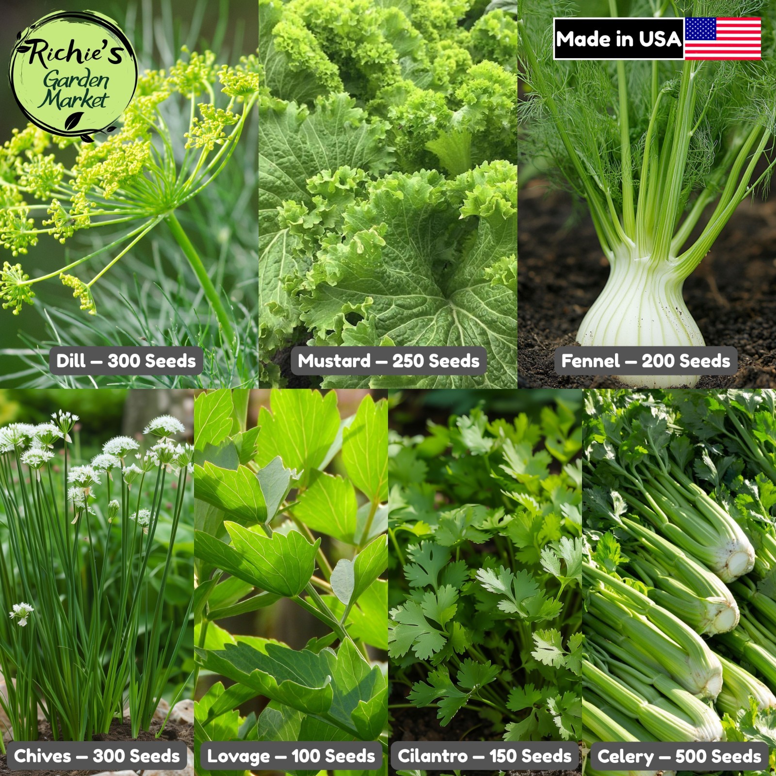 Canning & Pickling Herb Seeds Set, Classic 7-Variety, Non-GMO, Free Shipping gallery