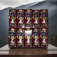 Glade 10 Pack Limited Edition PlugIns Scented Oil Refills Pomegranate & Currant
